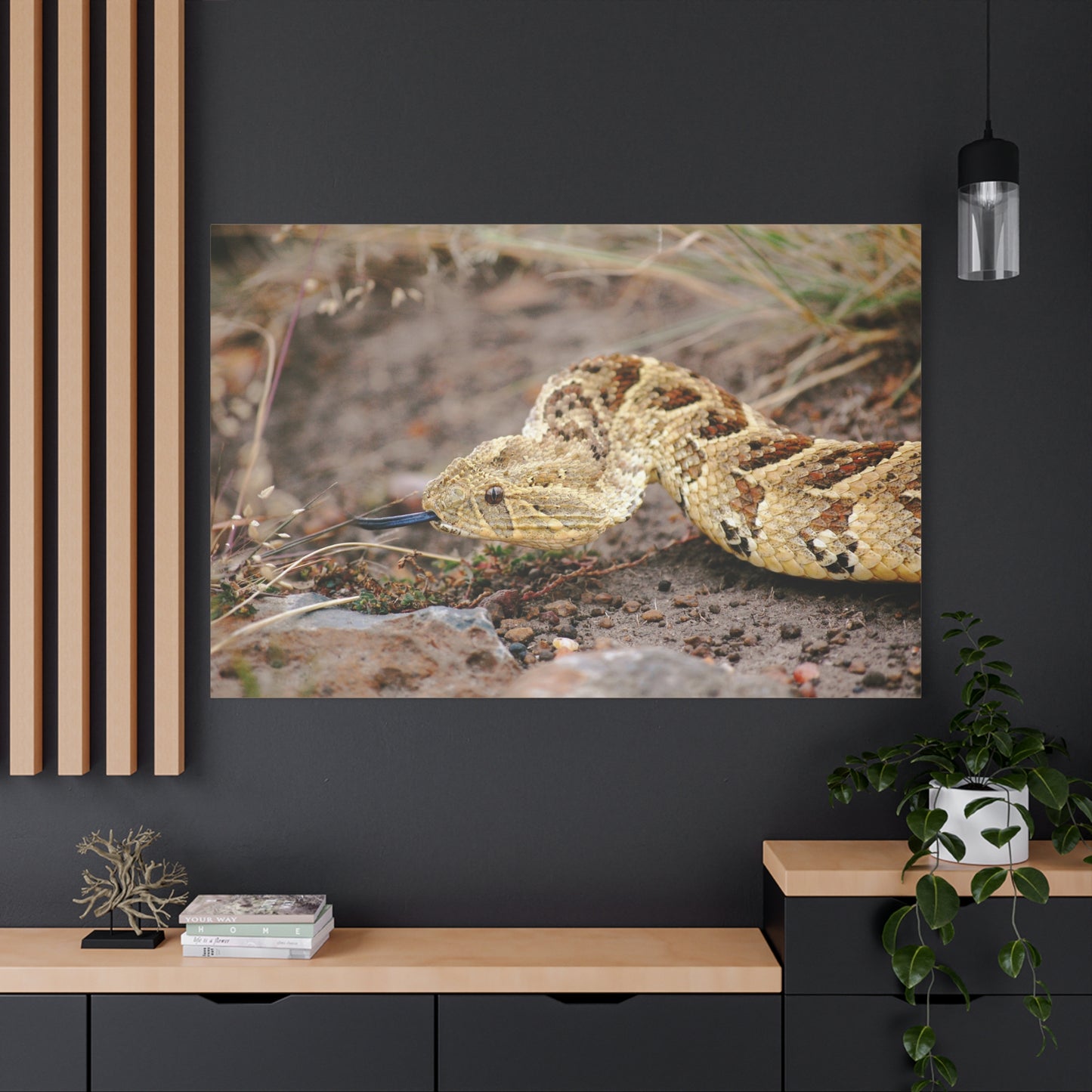 Canvas Art Puff Adder "The Silent Hunter"