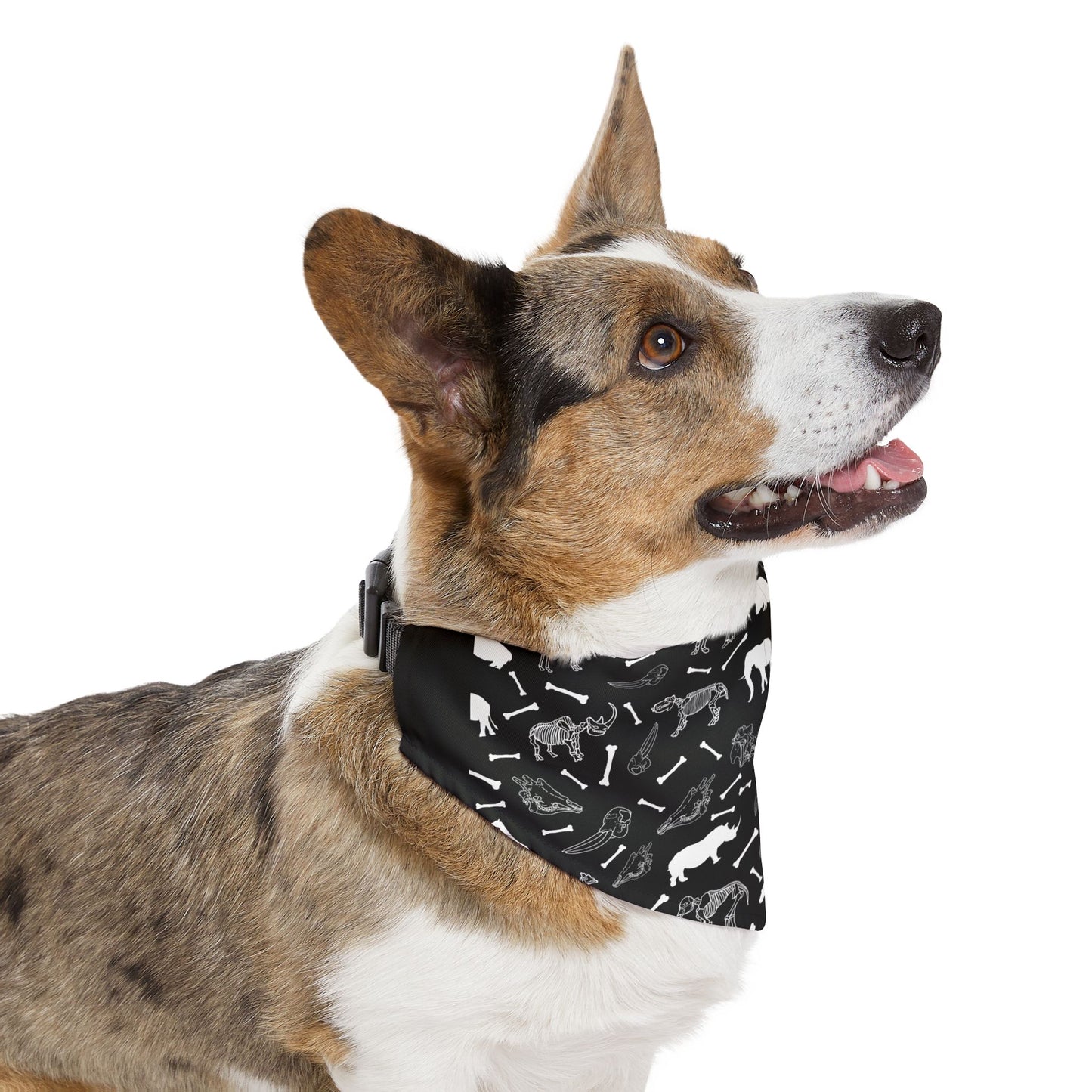 Animal Herbivore Skeleton Pet Bandana Collar for Dogs (Grey), Cute Dog Fashion, Summer Pet Accessory, Gift for Dog Lovers, Dog Birthday Bandana