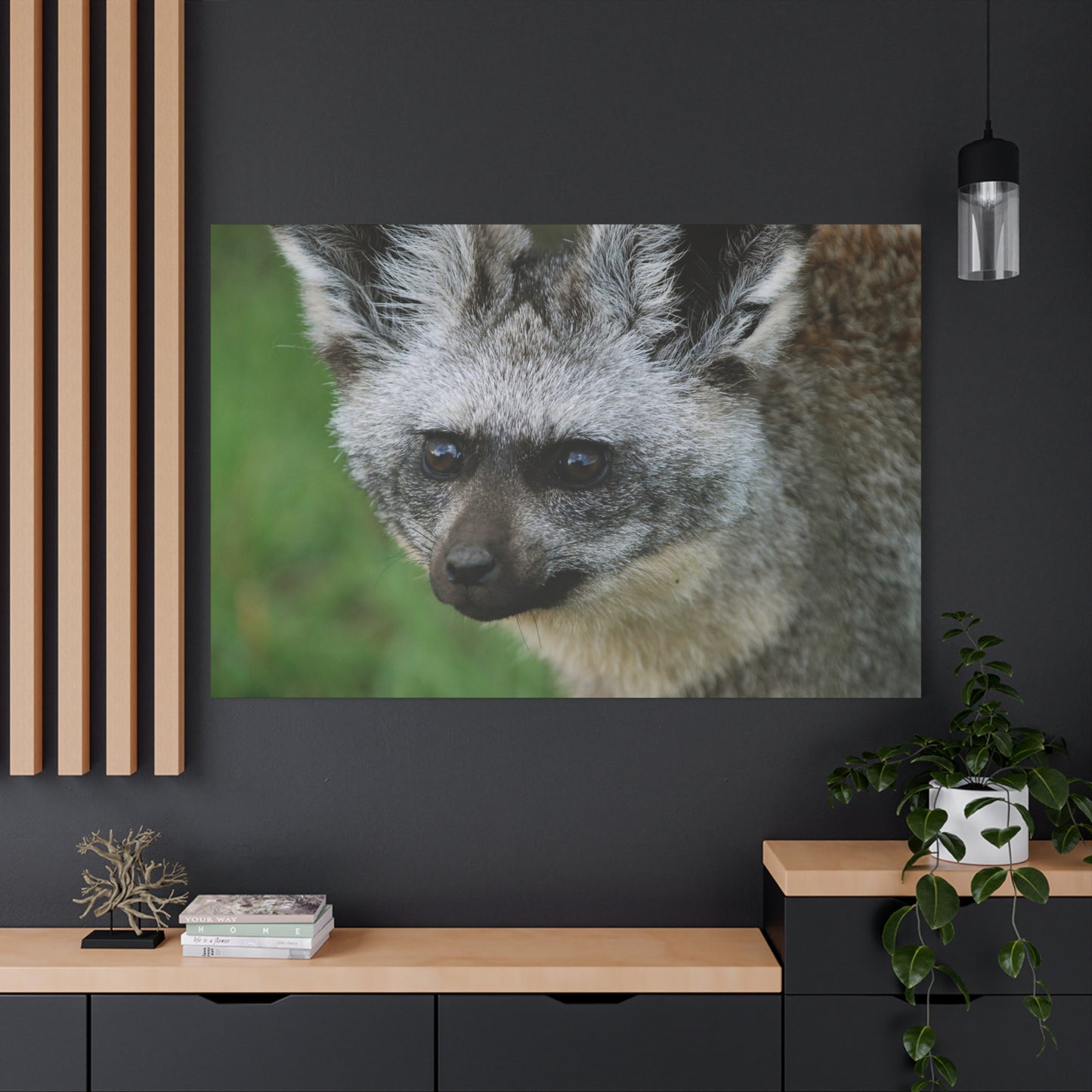Canvas Art Bat-eared Fox "Listening to the Wind"