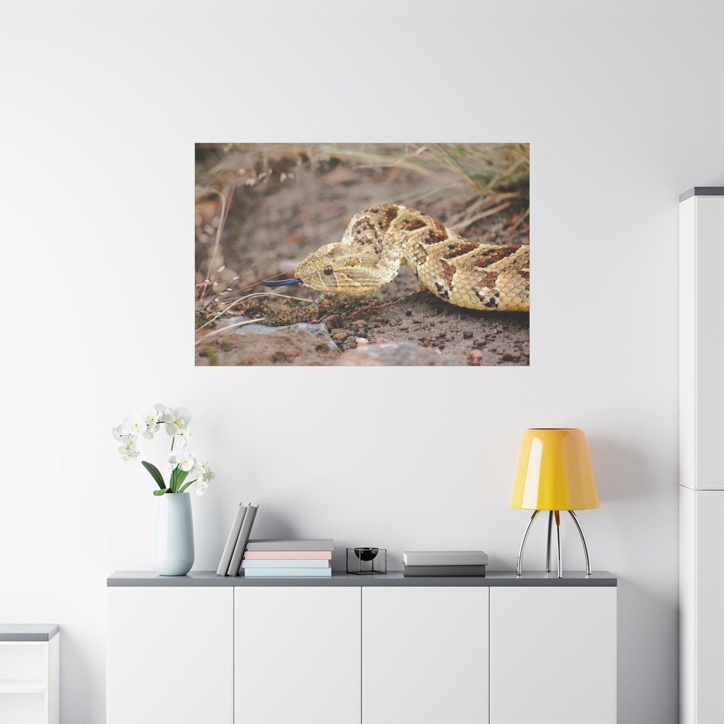 Canvas Art Puff Adder "The Silent Hunter"