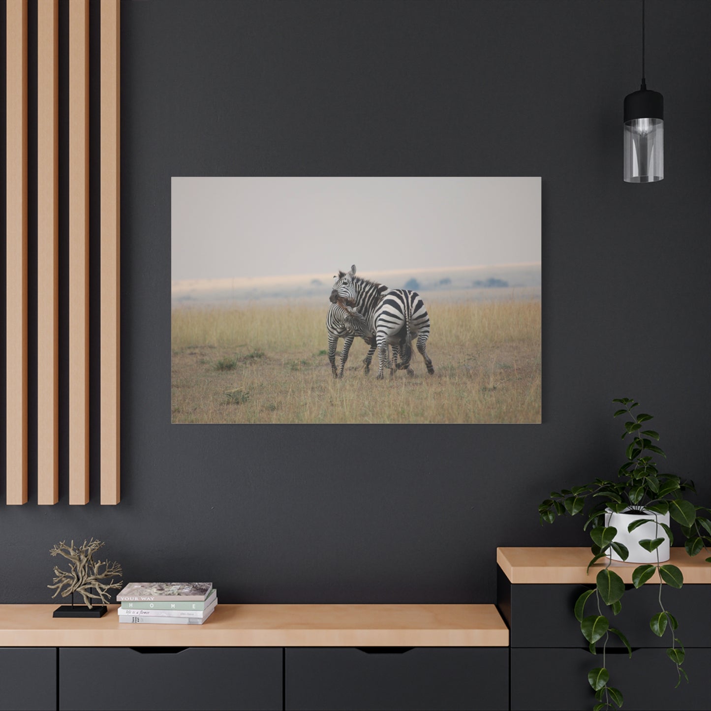Canvas Art Zebra Fight "Clash of the Stripes"