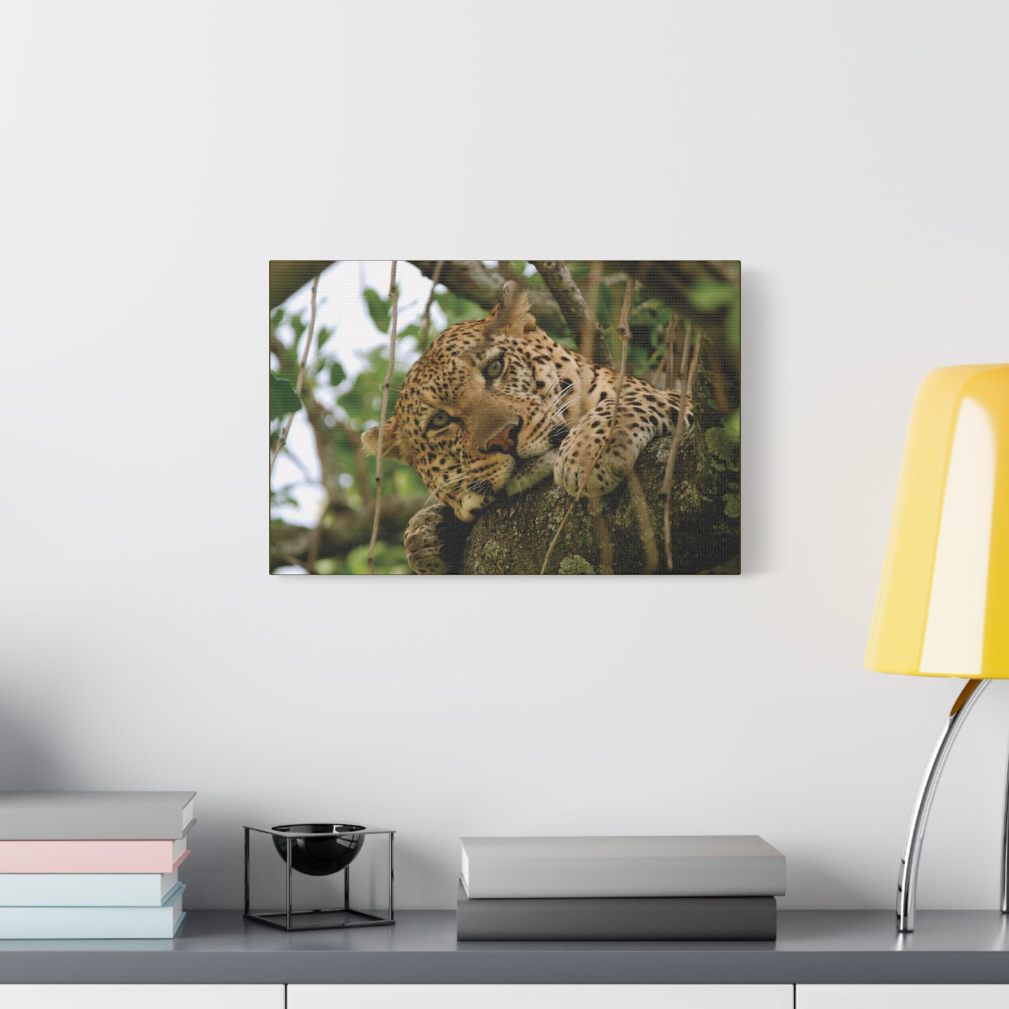 Canvas Art Leopard "Spots in the Canopy"