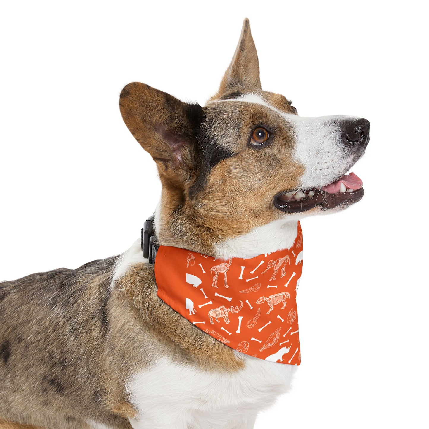 Animal Herbivore Skeleton Pet Bandana Collar for Dogs (Orange), Cute Dog Fashion, Summer Pet Accessory, Gift for Dog Lovers, Dog Birthday Bandana
