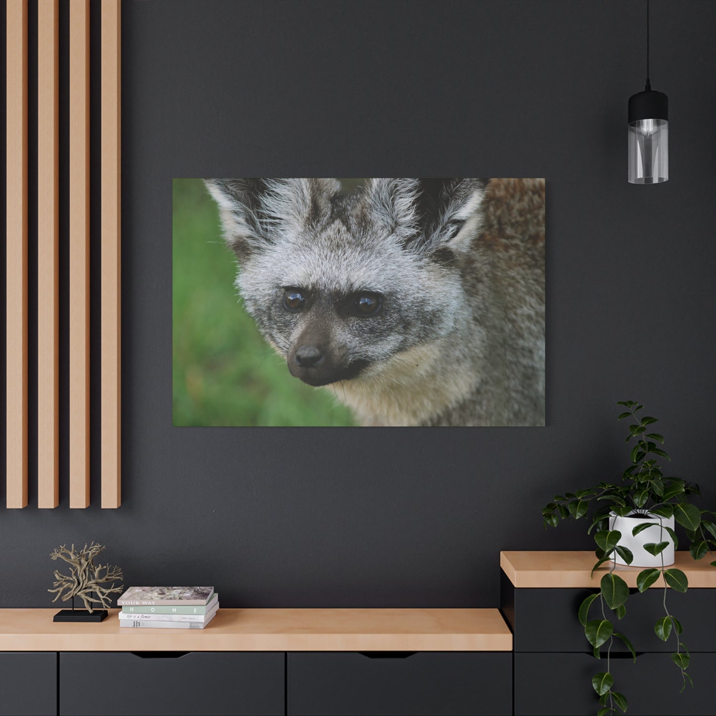 Canvas Art Bat-eared Fox "Listening to the Wind"
