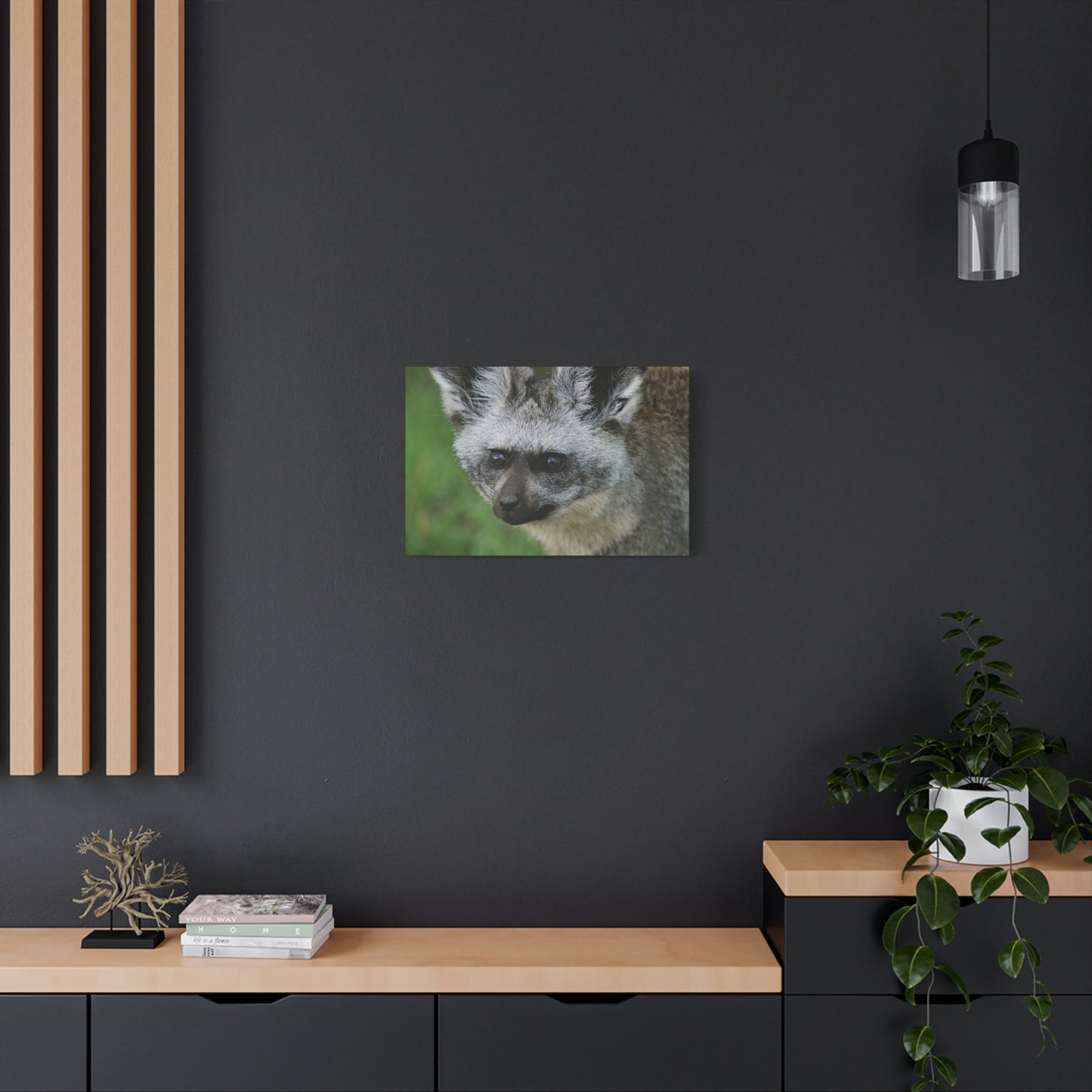 Canvas Art Bat-eared Fox "Listening to the Wind"