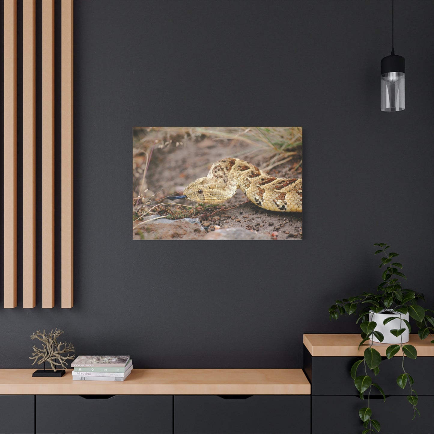 Canvas Art Puff Adder "The Silent Hunter"