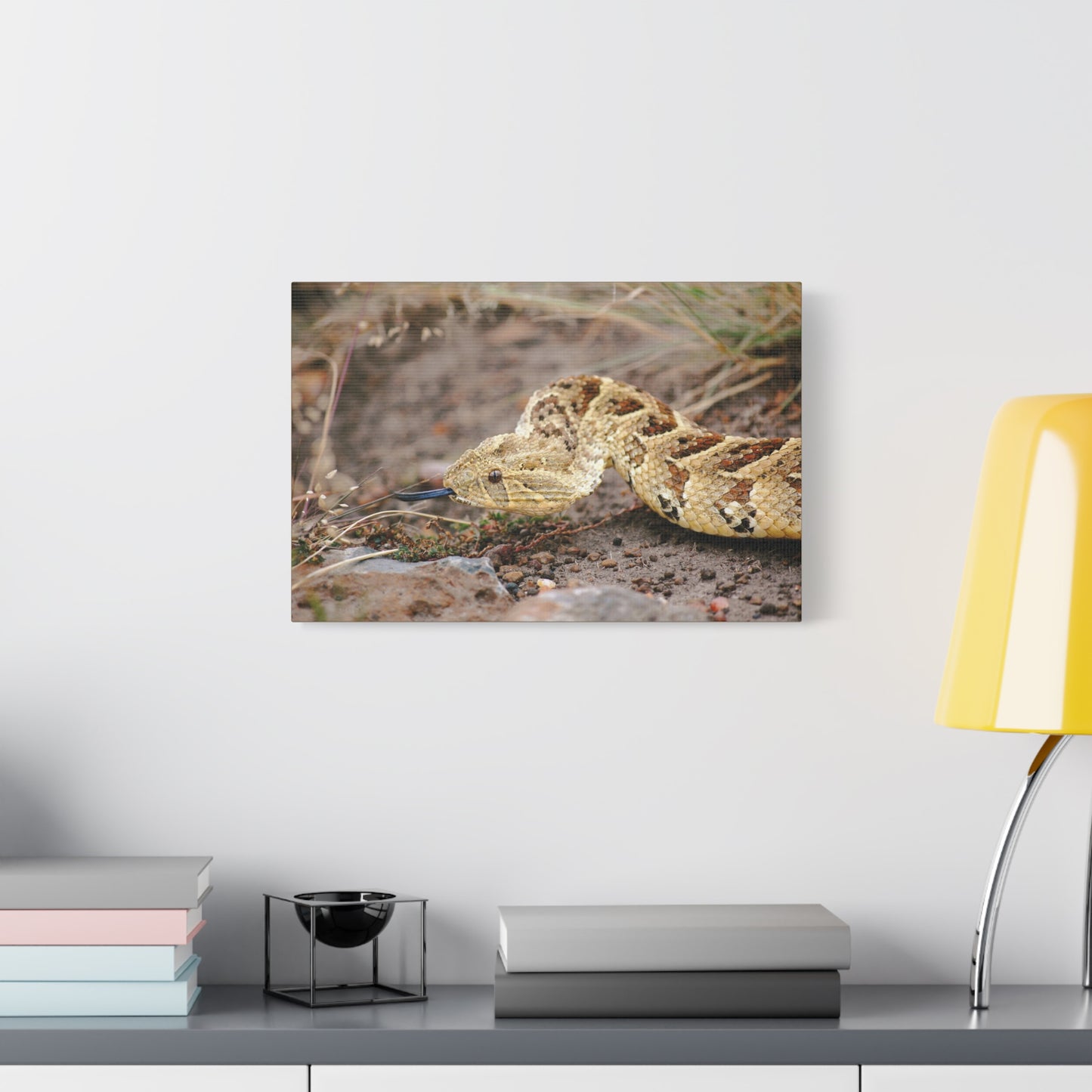 Canvas Art Puff Adder "The Silent Hunter"