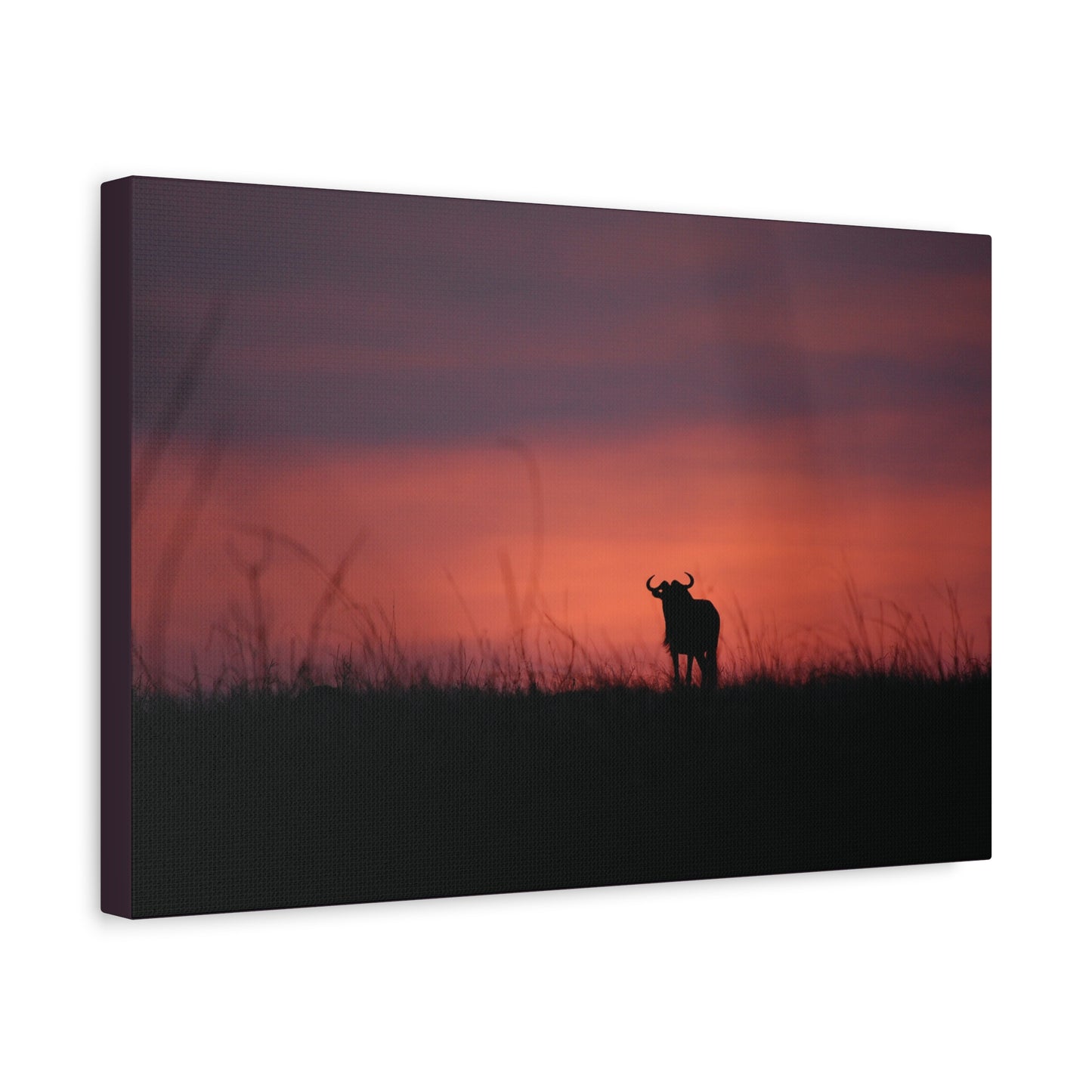 Canvas Art “Wildebeest at Dusk”
