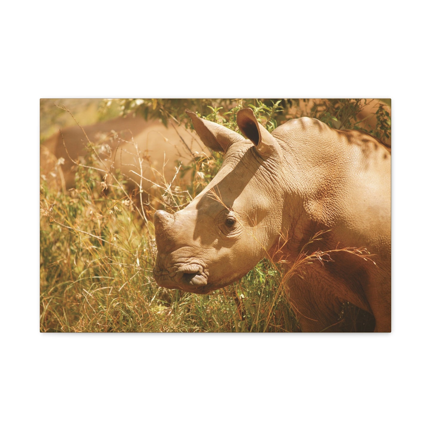 Canvas Art Rhino Baby "Little Giant"