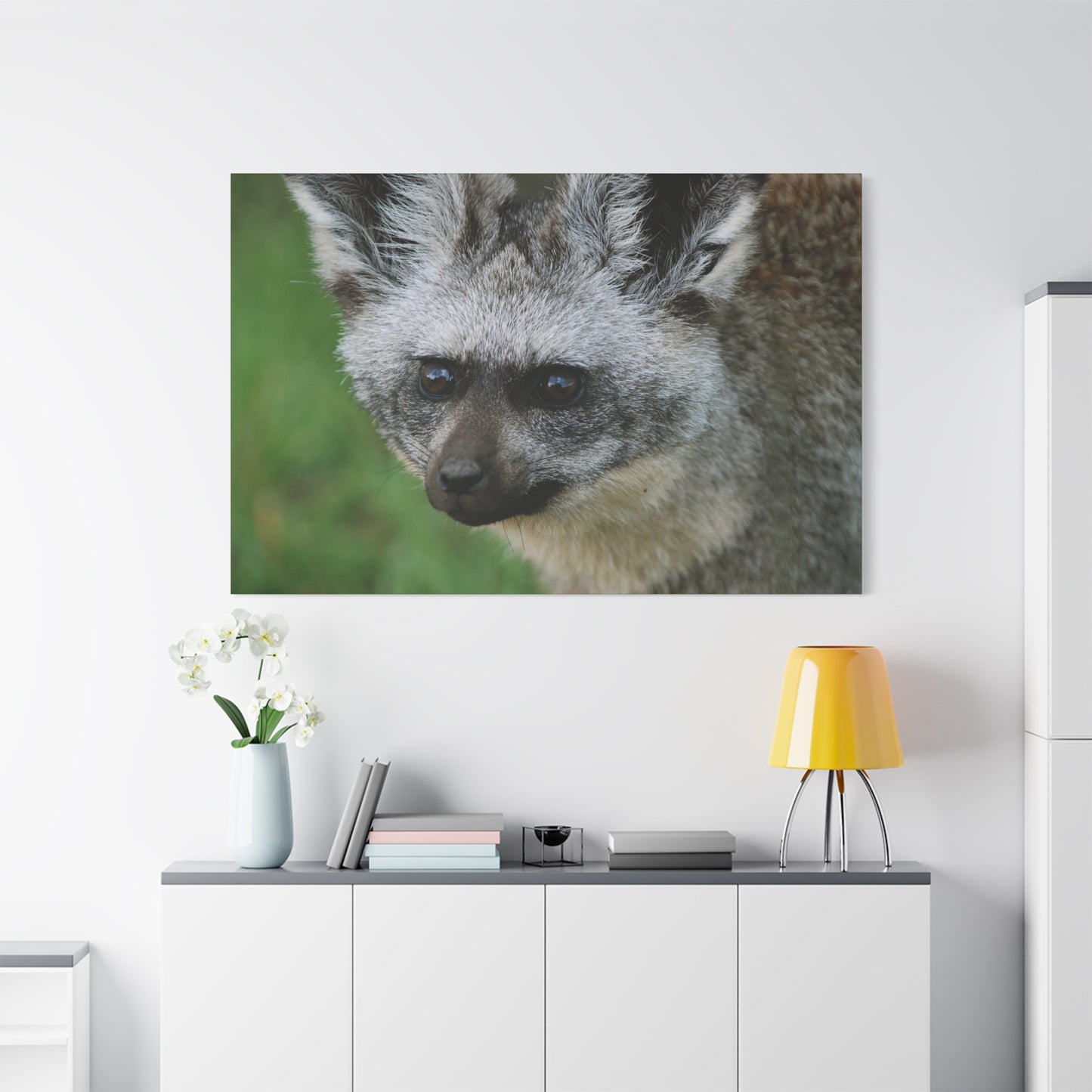 Canvas Art Bat-eared Fox "Listening to the Wind"