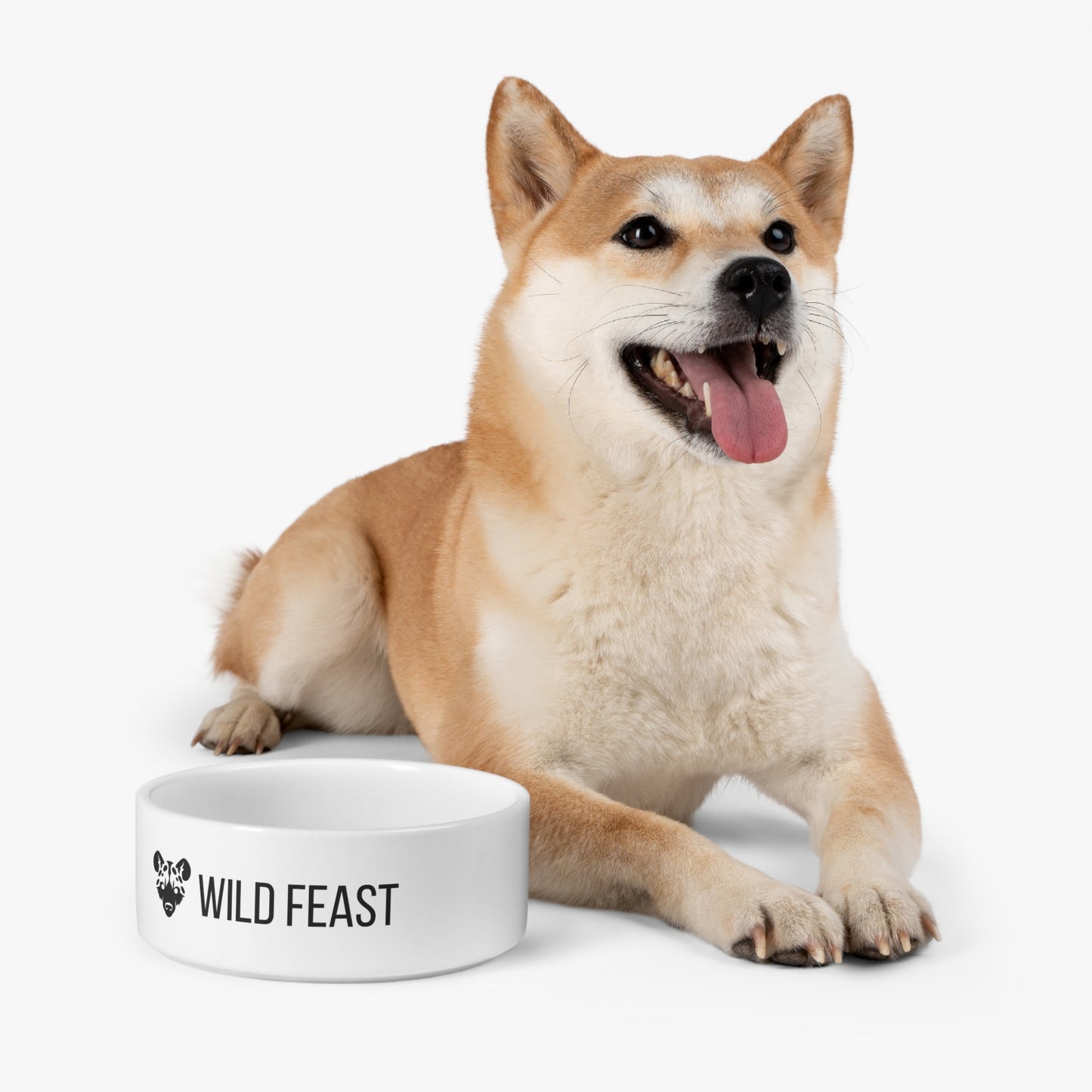 Pet Bowl with Lion Design - WILD FEAST, Custom Dog Dish, Cat Bowl, Pet Accessories, Animal Lover Gift, Unique Petware