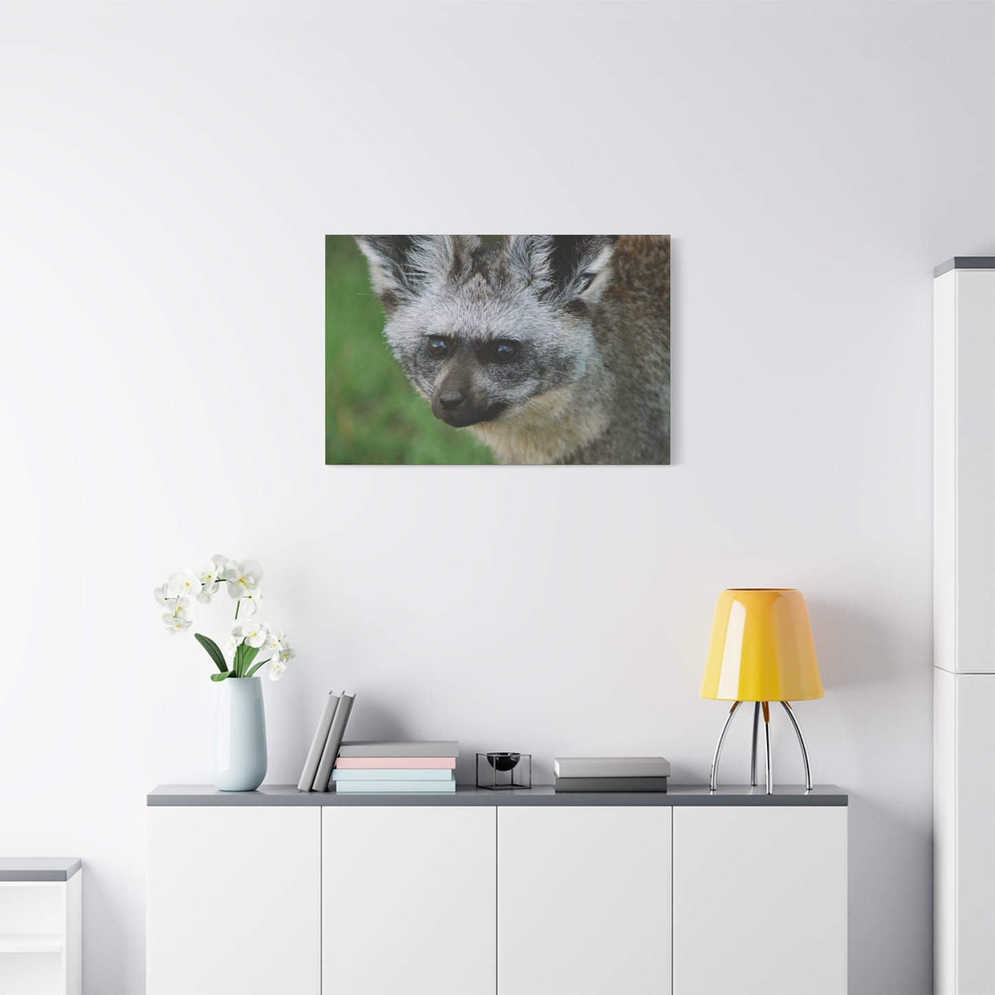 Canvas Art Bat-eared Fox "Listening to the Wind"