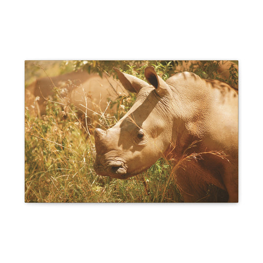 Canvas Art Rhino Baby "Little Giant"