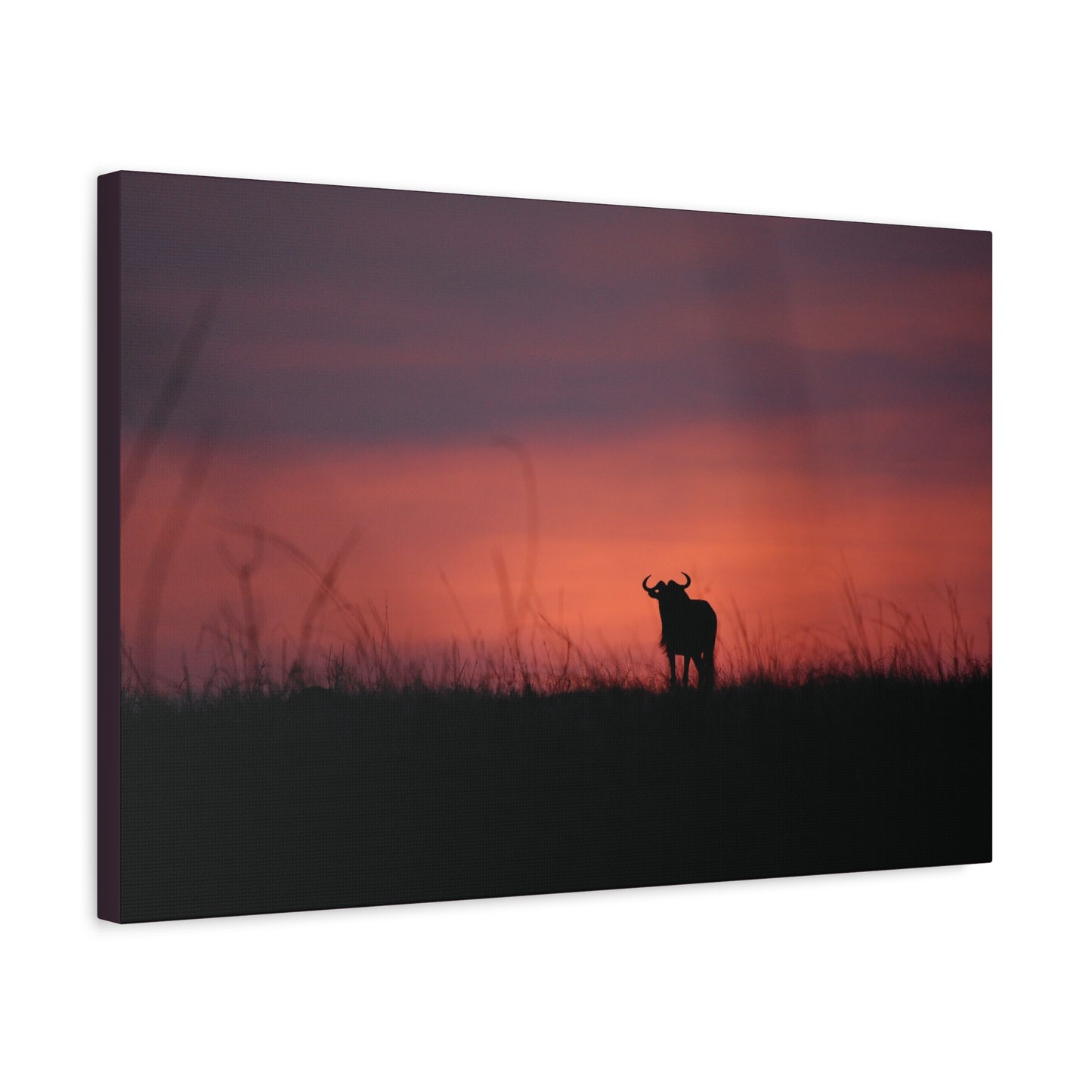 Canvas Art “Wildebeest at Dusk”