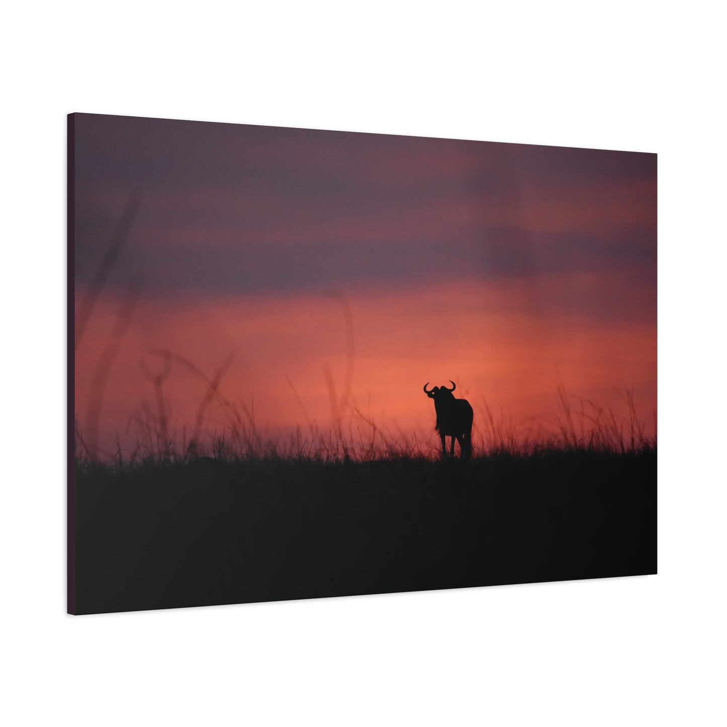 Canvas Art “Wildebeest at Dusk”