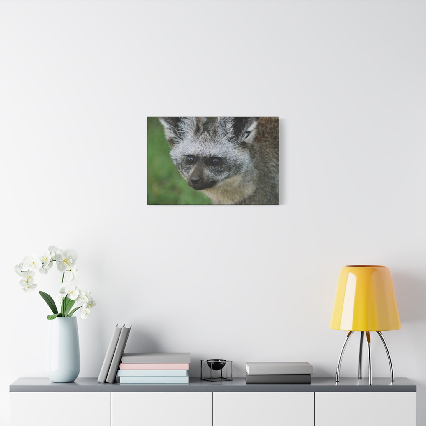 Canvas Art Bat-eared Fox "Listening to the Wind"
