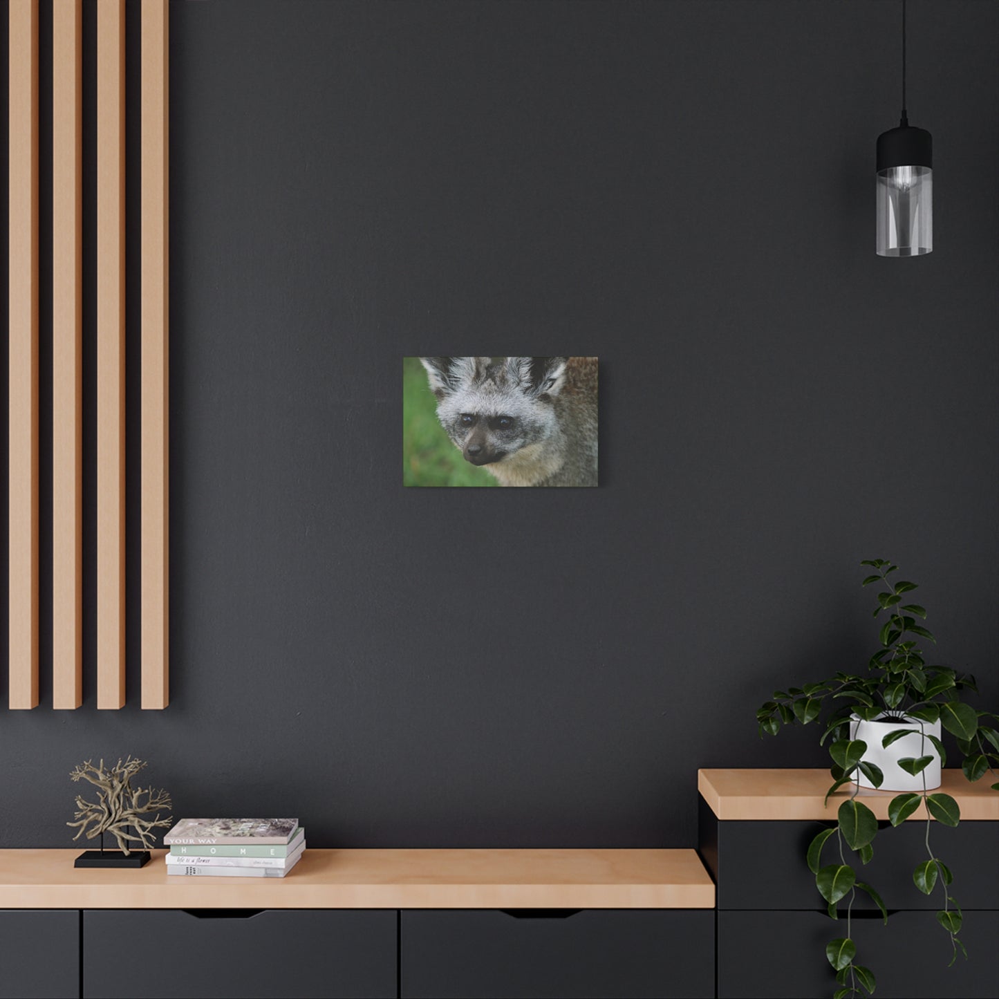 Canvas Art Bat-eared Fox "Listening to the Wind"