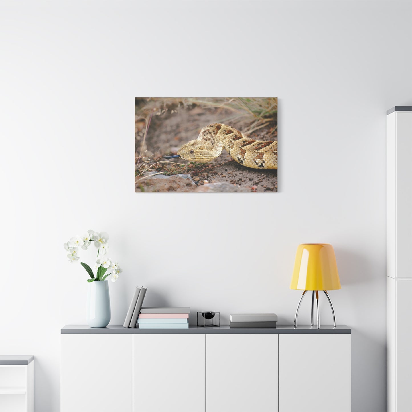 Canvas Art Puff Adder "The Silent Hunter"