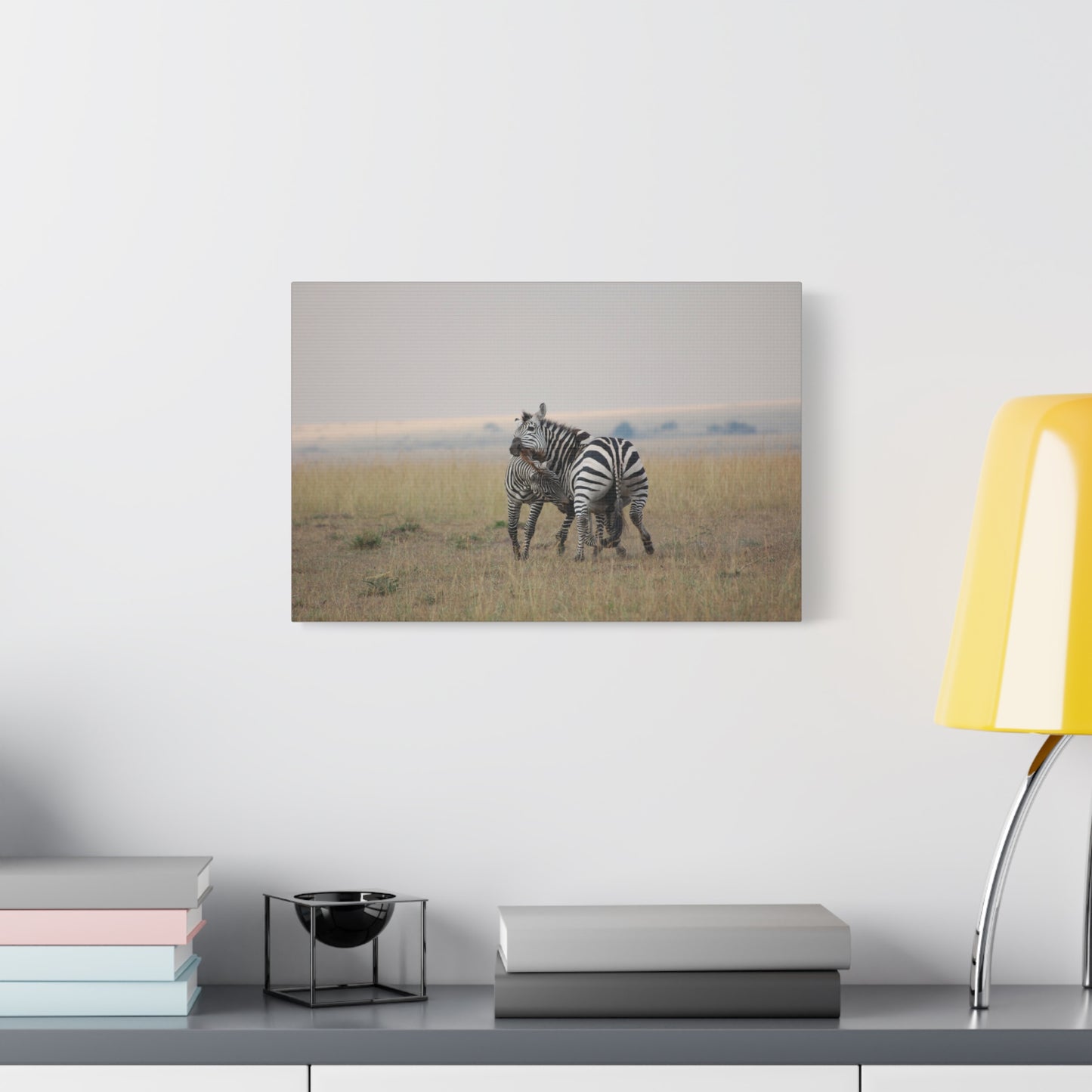 Canvas Art Zebra Fight "Clash of the Stripes"