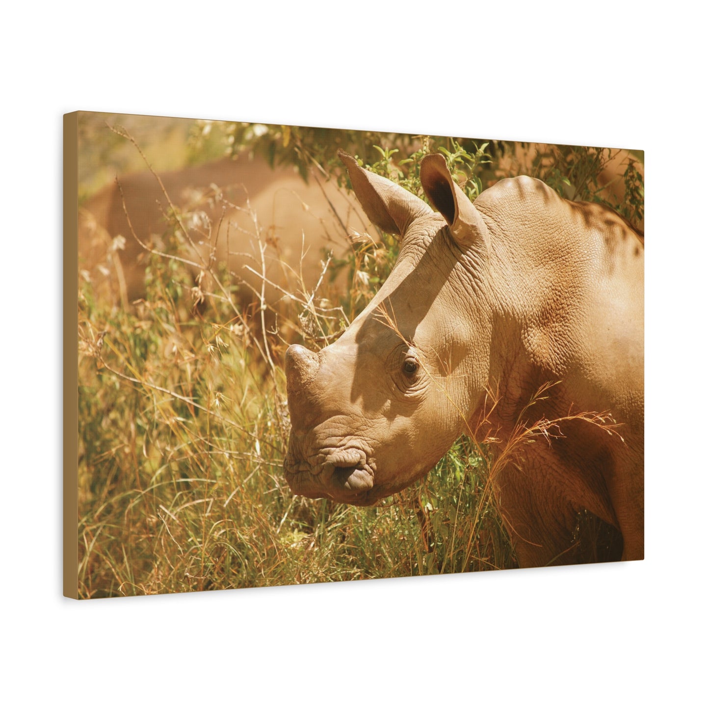 Canvas Art Rhino Baby "Little Giant"