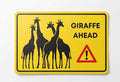 Sticker - Wildlife Warning Sign - Giraffe