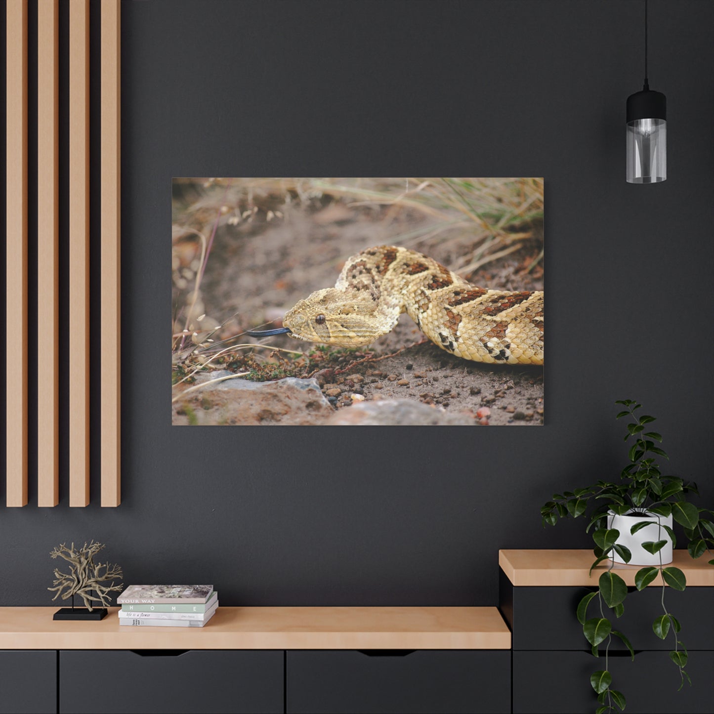 Canvas Art Puff Adder "The Silent Hunter"