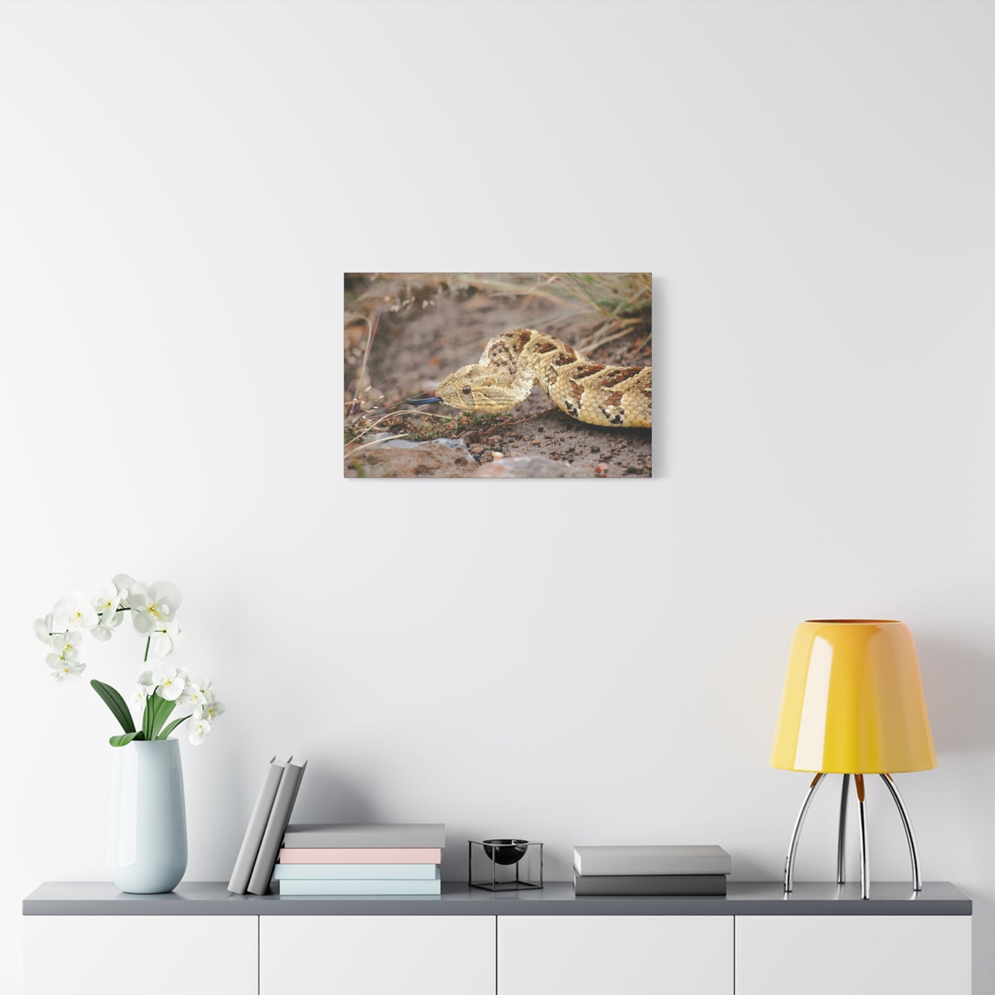Canvas Art Puff Adder "The Silent Hunter"