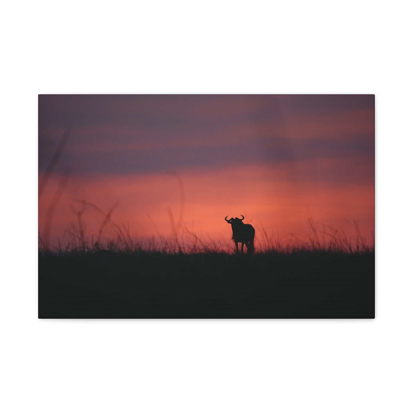 Canvas Art “Wildebeest at Dusk”