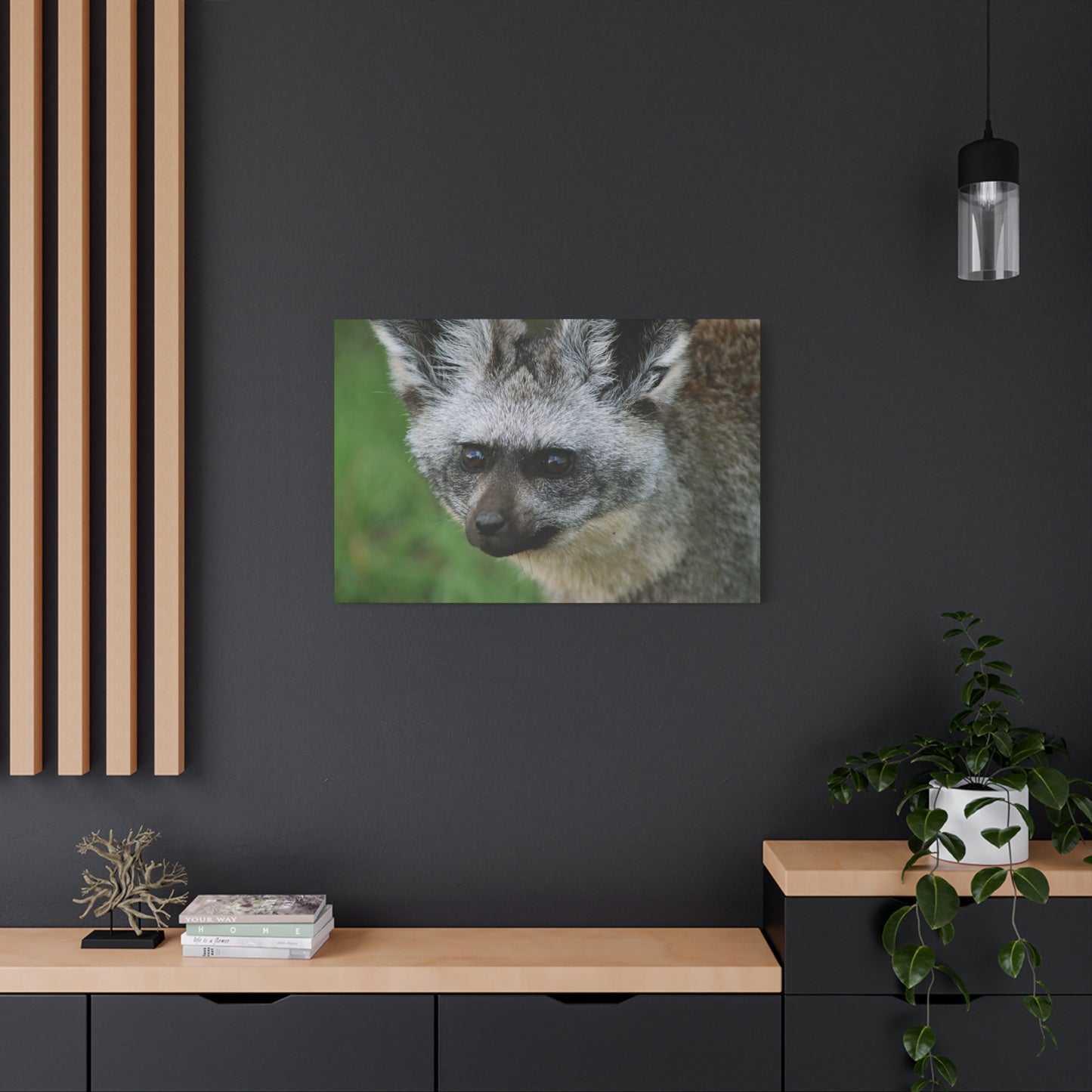 Canvas Art Bat-eared Fox "Listening to the Wind"