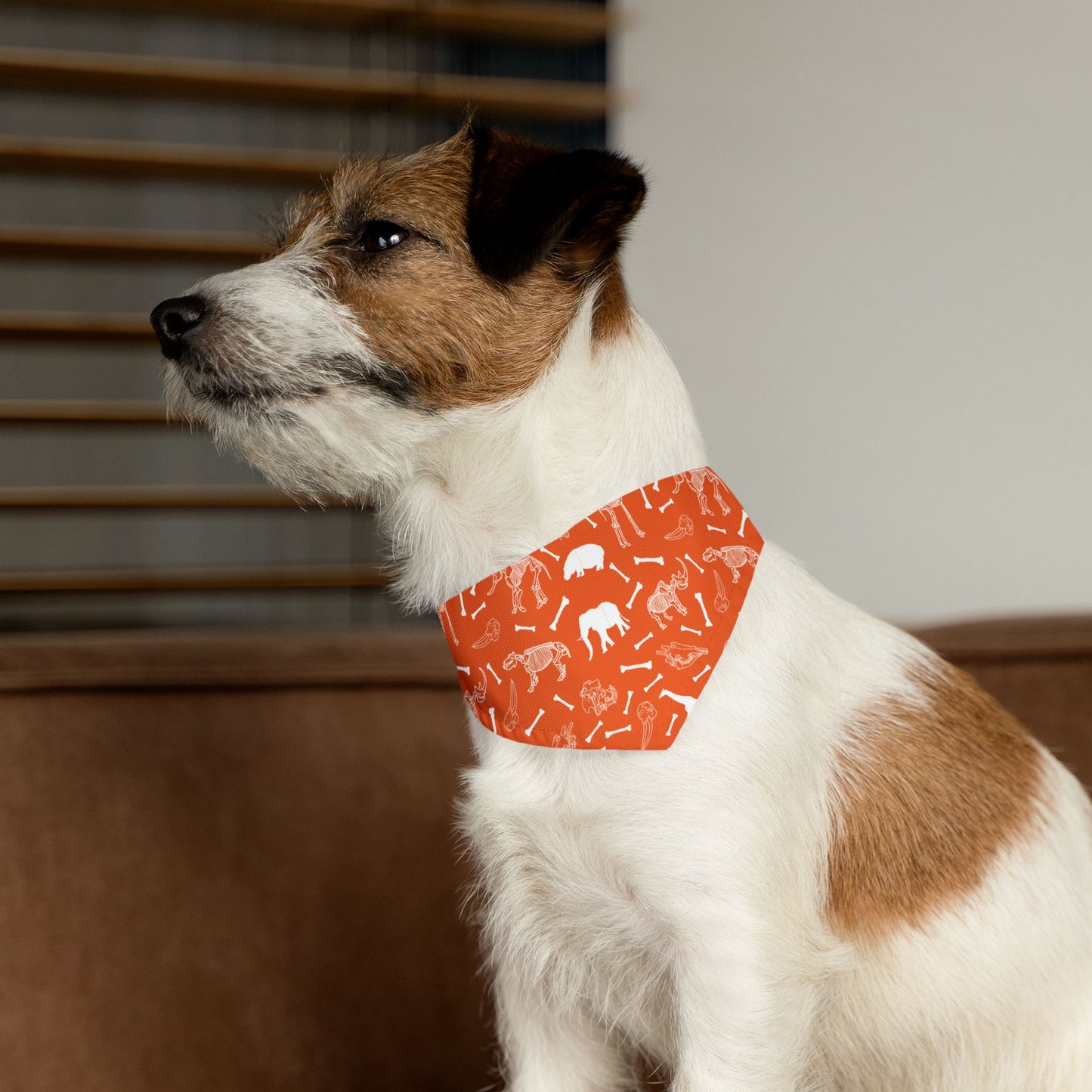 Animal Herbivore Skeleton Pet Bandana Collar for Dogs (Orange), Cute Dog Fashion, Summer Pet Accessory, Gift for Dog Lovers, Dog Birthday Bandana