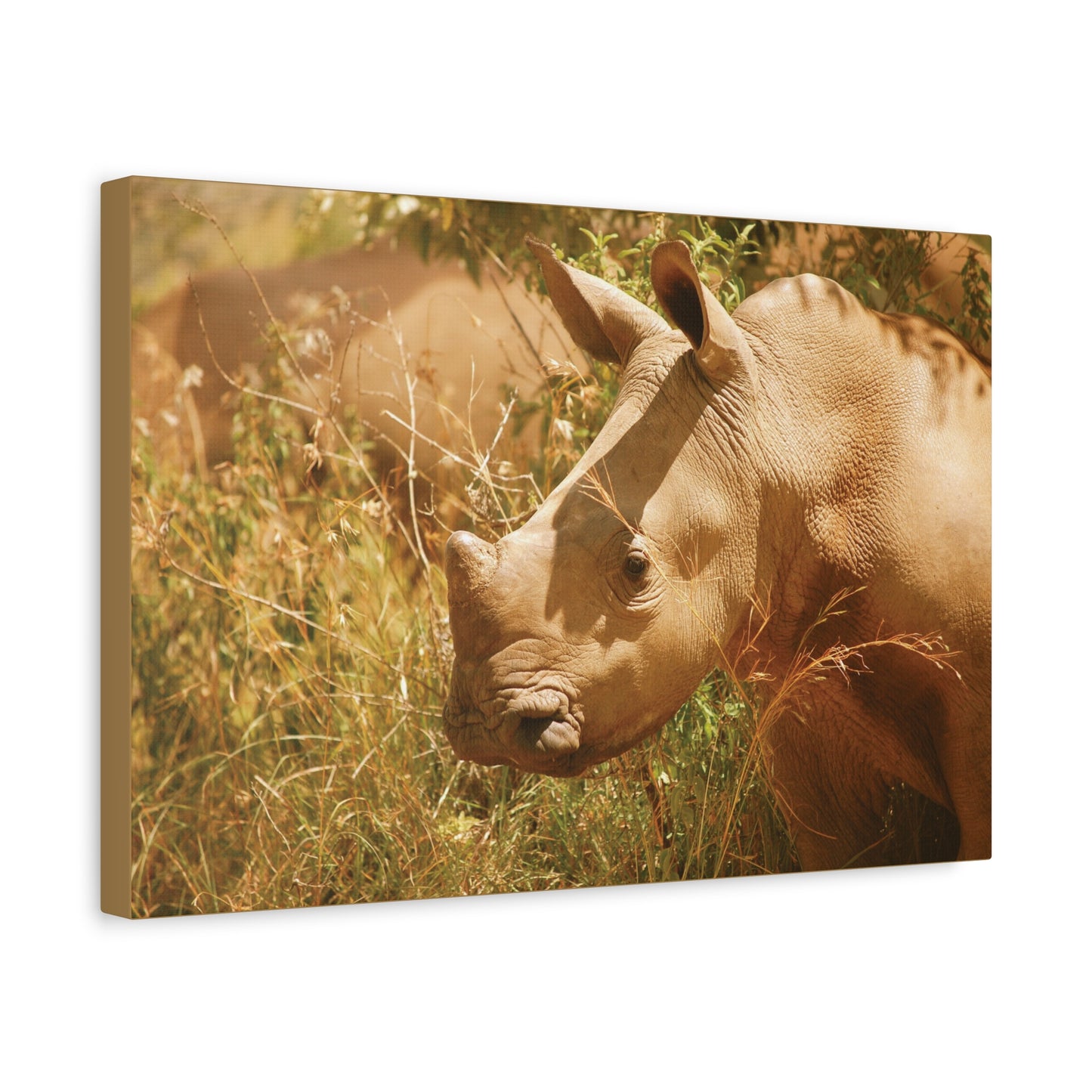 Canvas Art Rhino Baby "Little Giant"