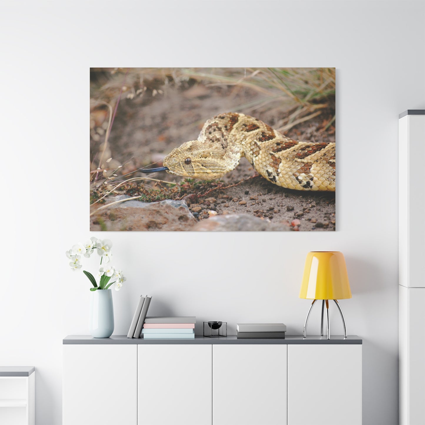 Canvas Art Puff Adder "The Silent Hunter"