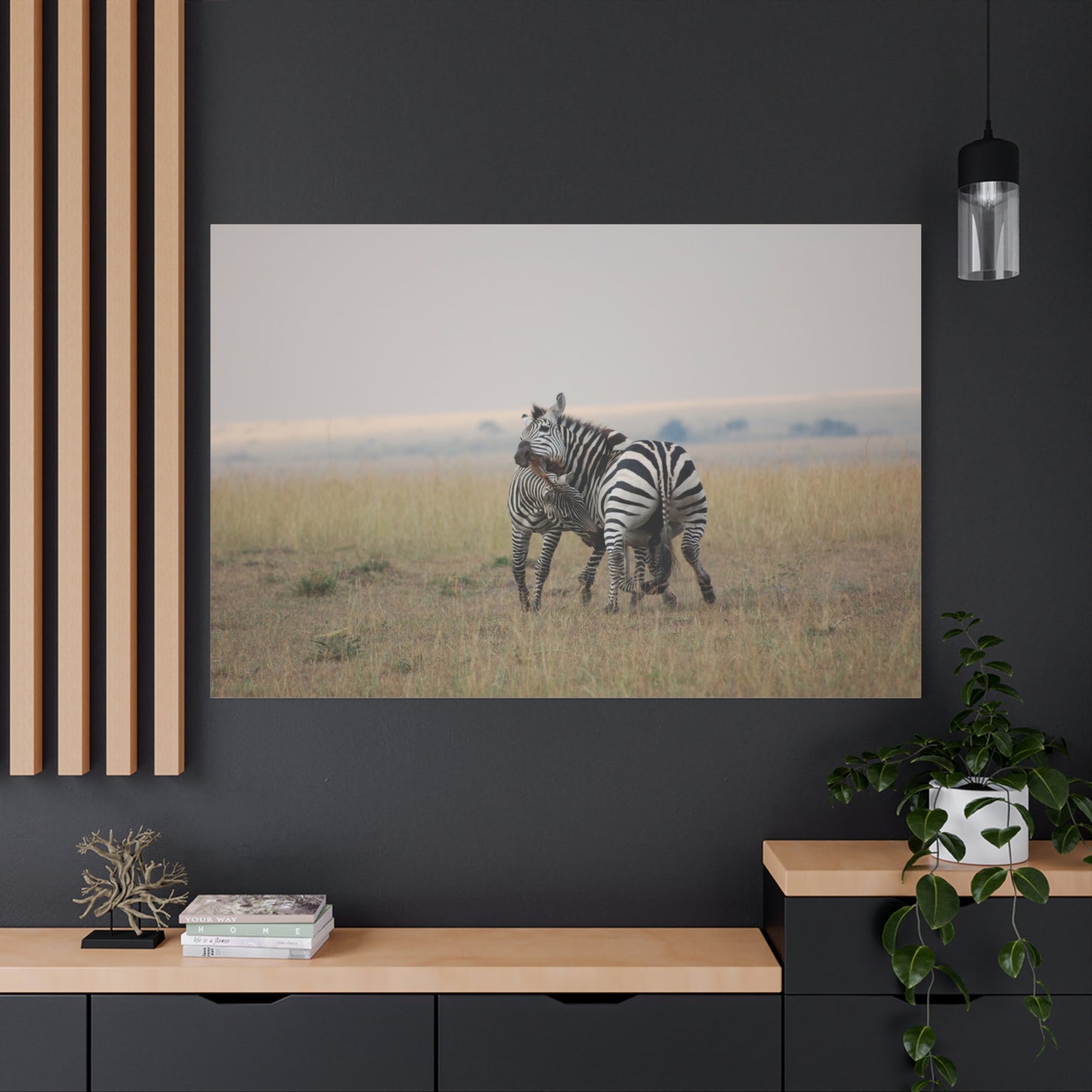 Canvas Art Zebra Fight "Clash of the Stripes"