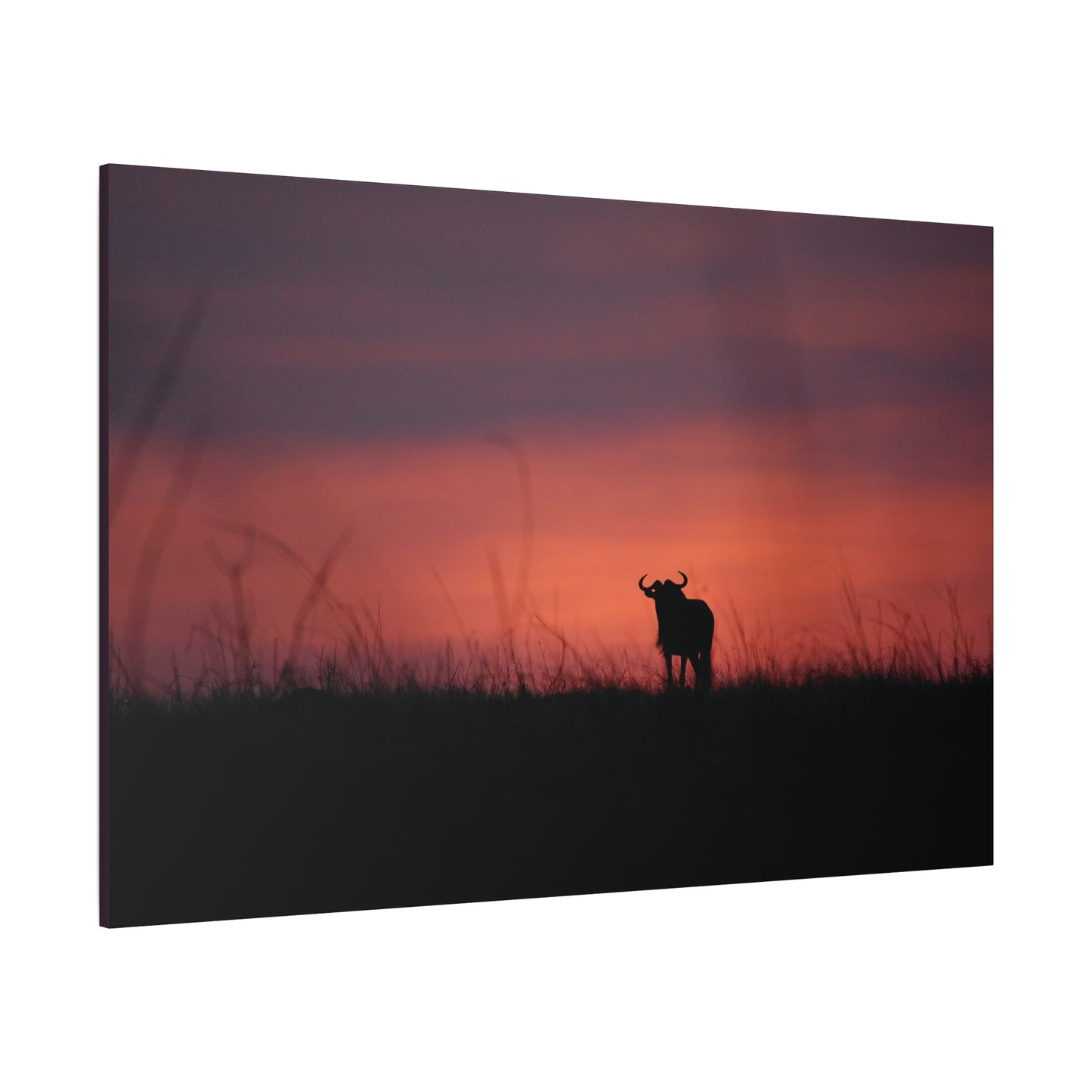 Canvas Art “Wildebeest at Dusk”